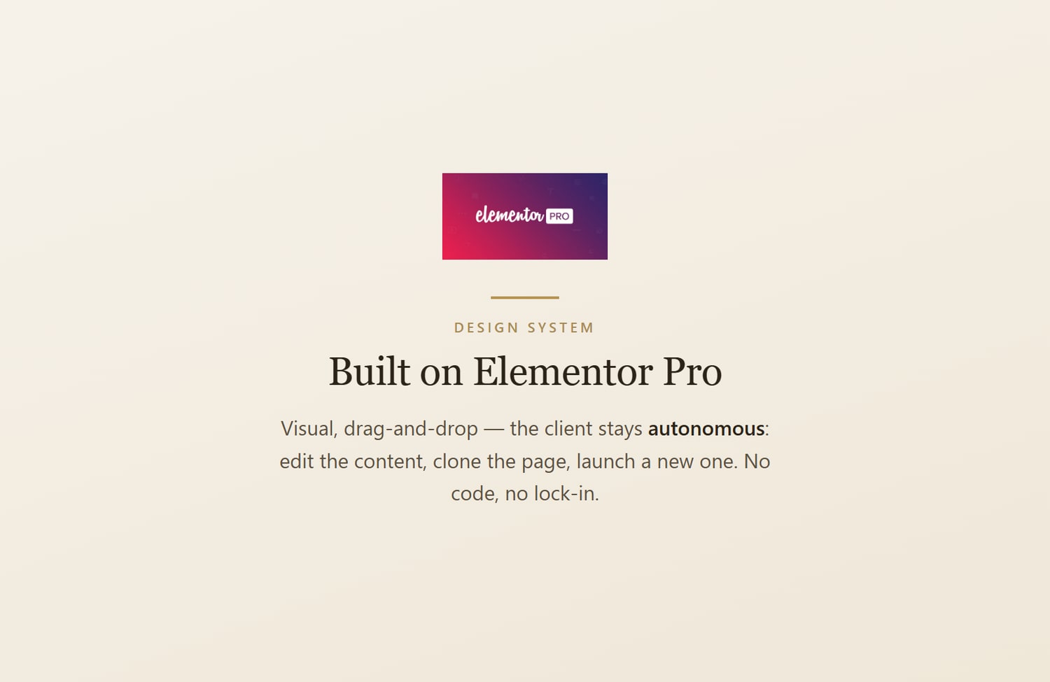 Built on Elementor Pro — the client stays autonomous to edit, clone and extend the page